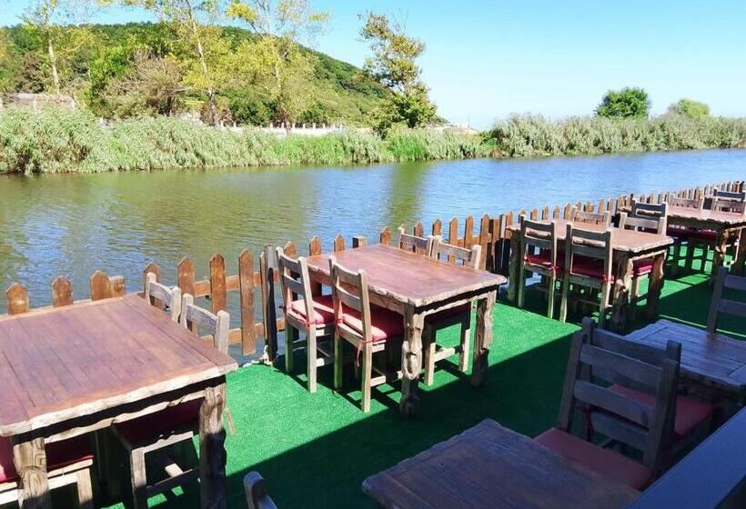 חדר דלוקס, My Dream Otel