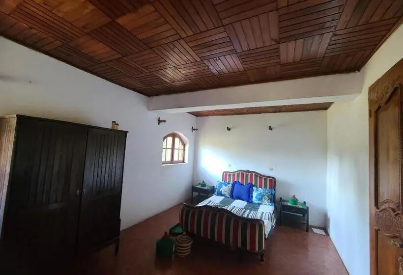اتاق استاندارد, Louisiana Guest House