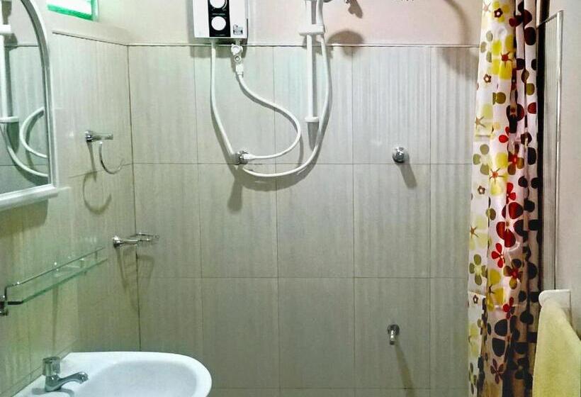 Ekonomik Oda, Evergreen