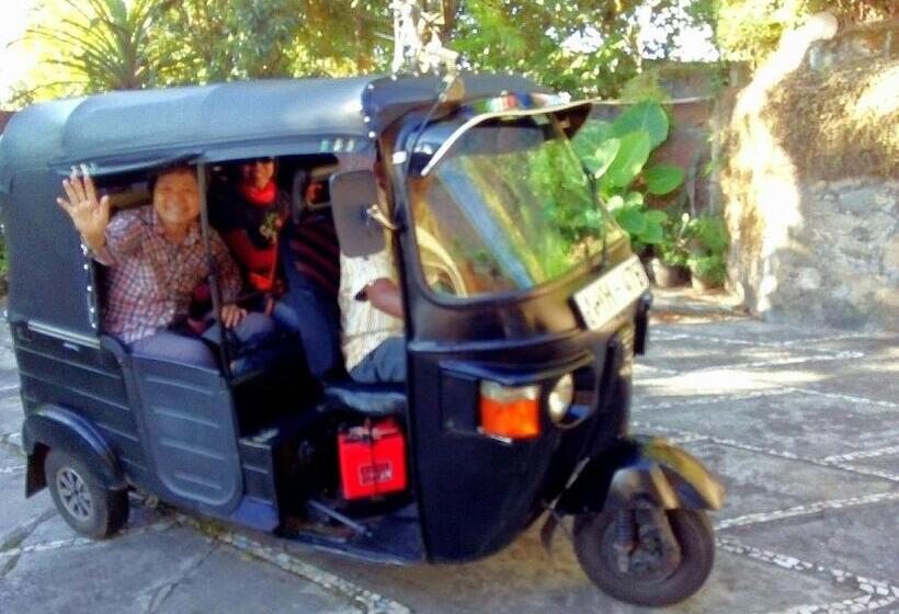 Ekonomik Oda, Evergreen