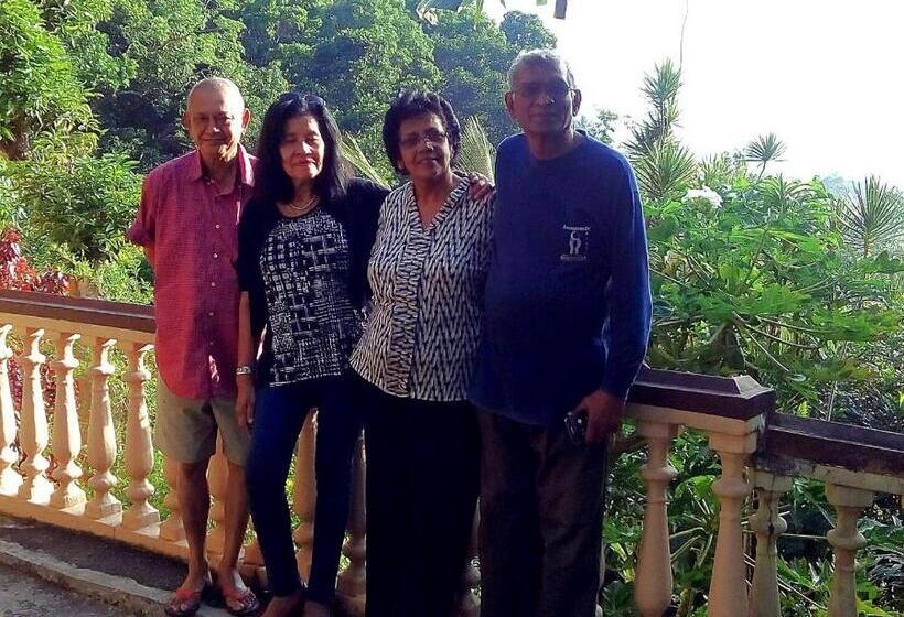 Ekonomik Oda, Evergreen