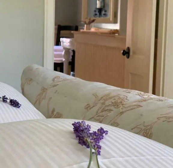 اتاق لوکس, The Pebble Bed And Breakfast