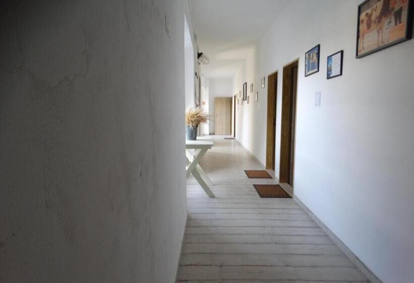 스탠다드 룸, Ubytování Na Tvrzi