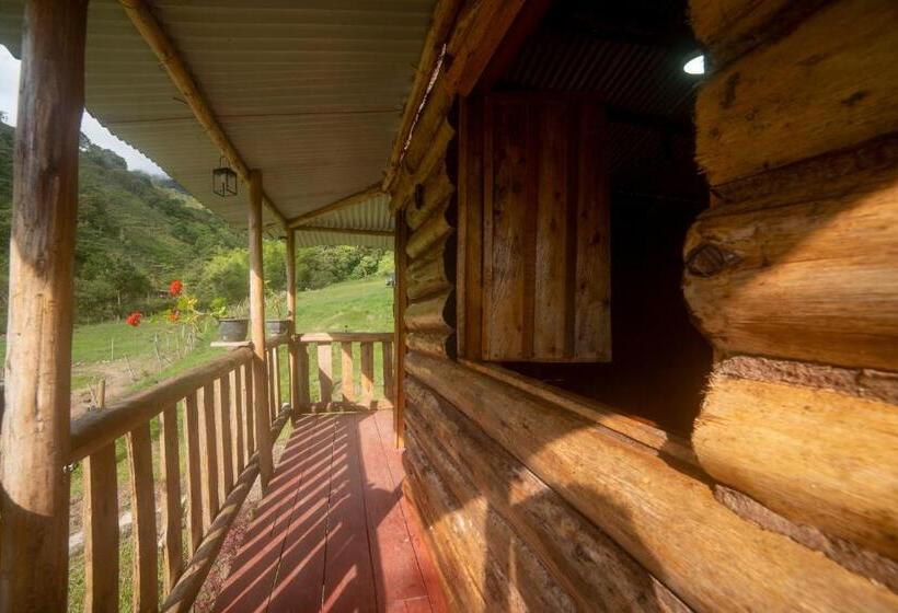 스탠다드 룸, Jardines Del Tatamá