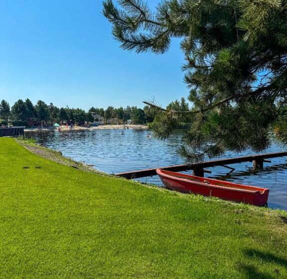 带大床的标准间, Veenland