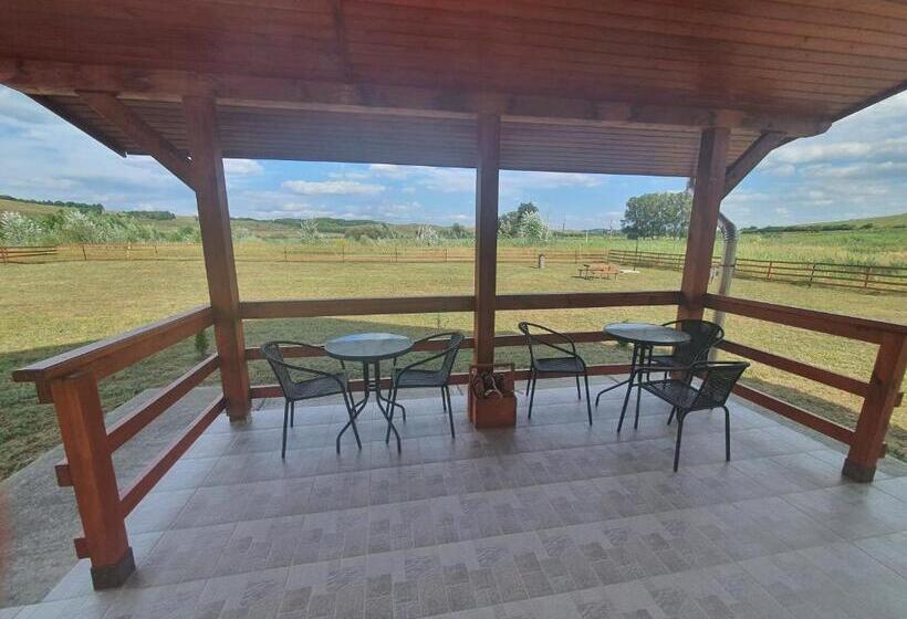 Номер Стандарт, Darazsik Pihenőpark