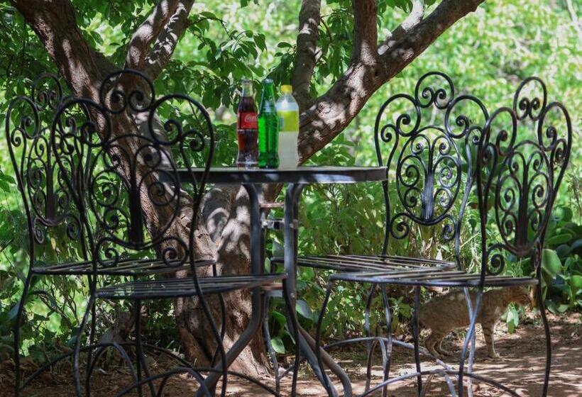 Quarto Familiar Vista Jardim, Gite Gougadir Imoughlad