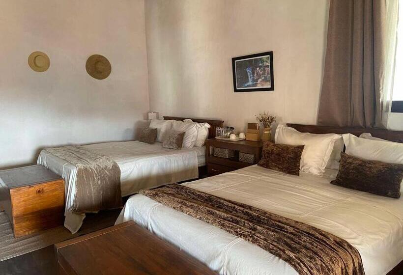 اتاق استاندارد با چشمانداز شهر, M Serenity Guest House
