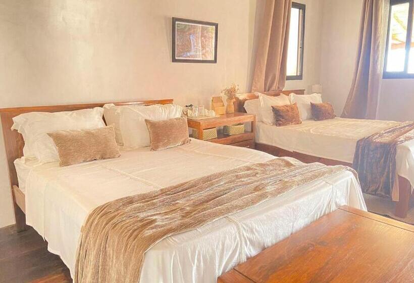اتاق استاندارد با چشم‌انداز شهر, M Serenity Guest House