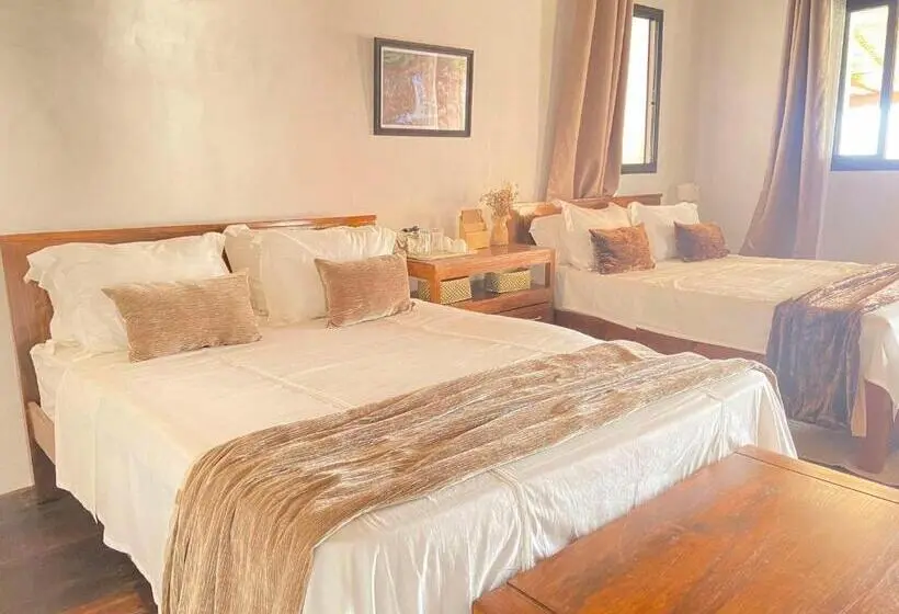 اتاق استاندارد با چشم‌انداز شهر, M Serenity Guest House