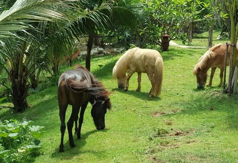 Люкс Кровать Кинг, Denen Resort&minizoo
