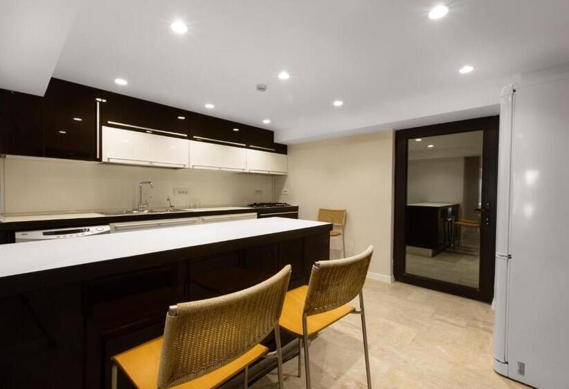 סטודיו משפחתי, Villa Oho