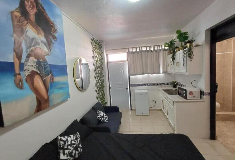 סטודיו דלוקס, Linkzup Europa Condos