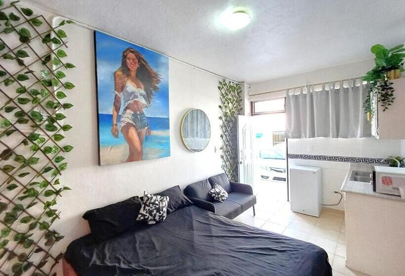 豪华工作室, Linkzup Europa Condos