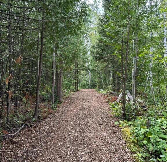 Suite King Size Bed, Haileybury Lakehouse