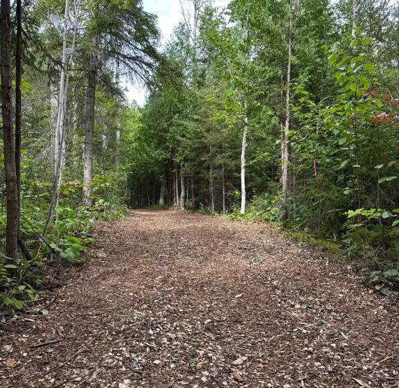 Suite King Size Bed, Haileybury Lakehouse