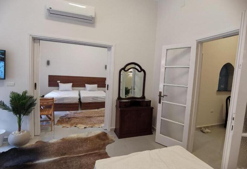 带1个卧室带观景的公寓, Family Suites Cairo Downtown