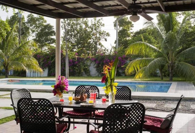 اتاق استاندارد یک نفره, Caracol Villas Sa