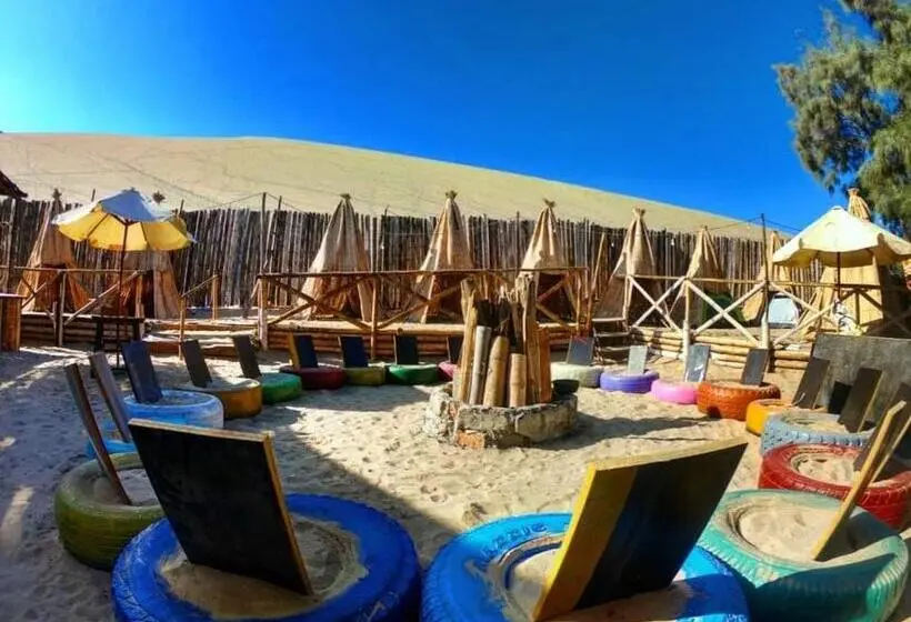 اتاق استاندارد, Iguana Camping