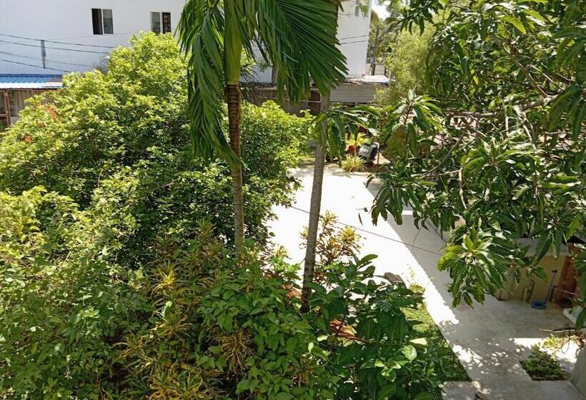 اتاق خانوادگی, Randi Villa