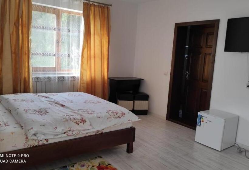 Номер Стандарт Трехместный, Pensiunea Emilia