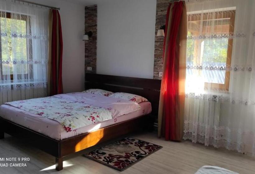 Номер Стандарт Трехместный, Pensiunea Emilia