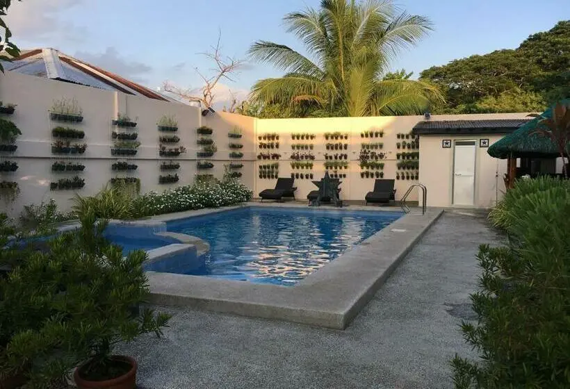Chambre Standard, Stardust Beach