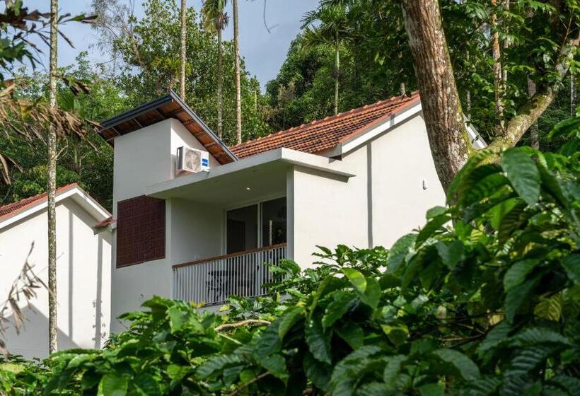 スーペリアー１ベッドルームビラ, Theyila Wayanad