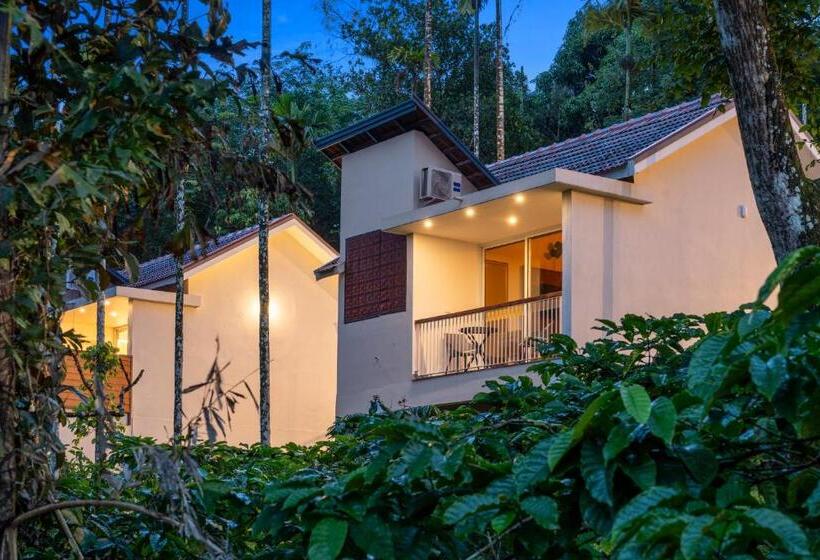 スーペリアー１ベッドルームビラ, Theyila Wayanad