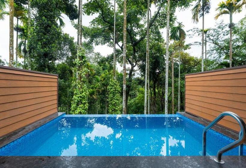プール付き１ベッドルームヴィラ, Theyila Wayanad