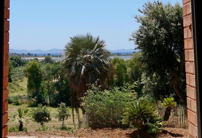 带海景的标准房, Chateau Pascalette