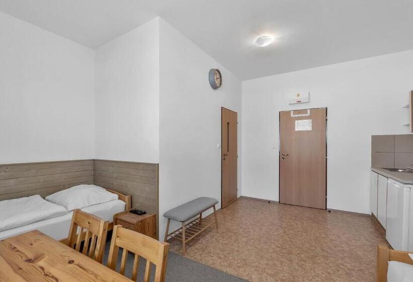 اتاق استاندارد, Apartmány A Ubytování Přemyslova, Hradec Králové