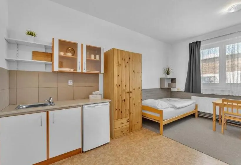 Standard-huone, Apartmány A Ubytování Přemyslova, Hradec Králové
