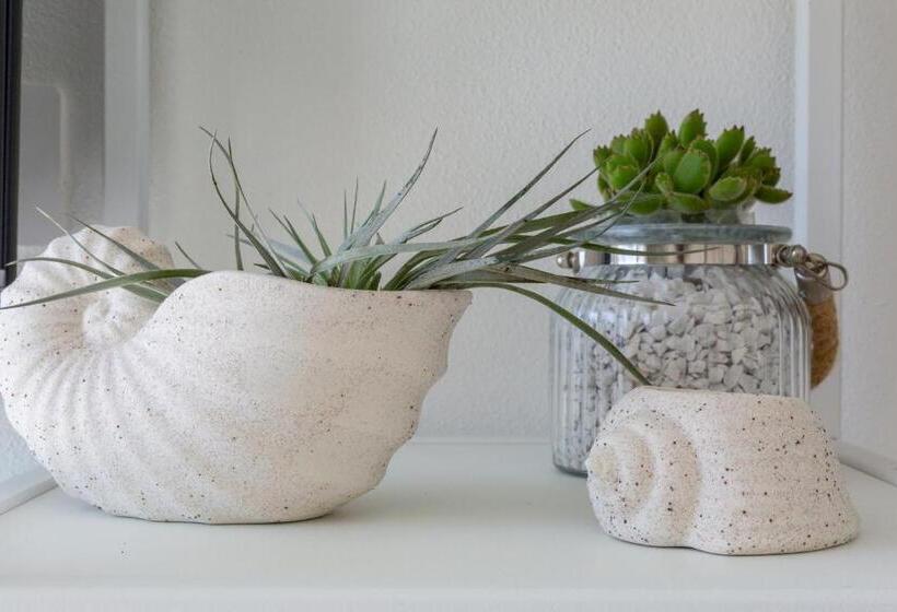 Номер Стандарт, Delphis Pula Rooms