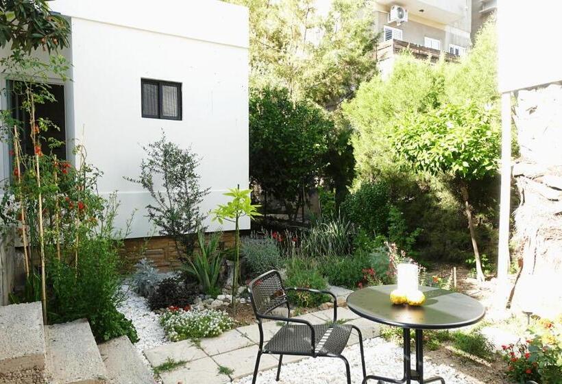 اتاق استاندارد اینتریور, Under The Palms