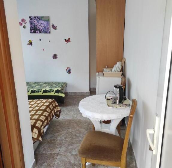 اتاق اکونومی, Guesthouse Planina