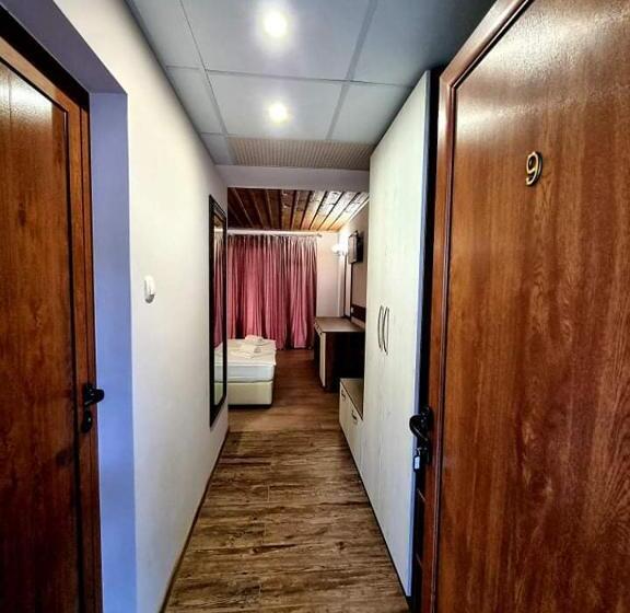 اتاق سوپریور با تخت بزرگ, мяхова къща