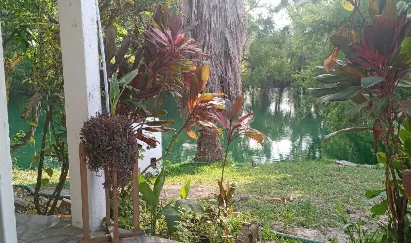 ファミリールーム, Tamasopo Y Sus Rios