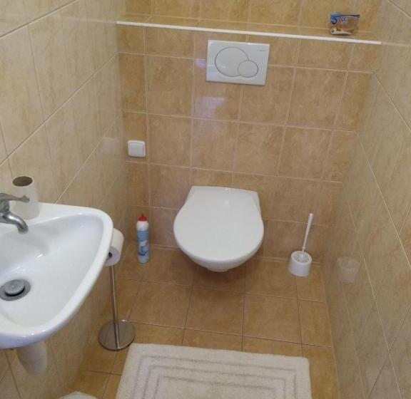 דירת פנטהאוז 1 חדרי שינה, Best Time Opočno   Ubytování V Soukromí