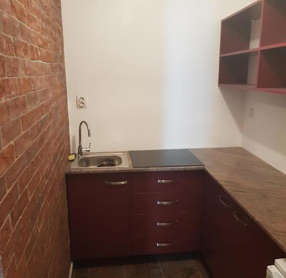 آپارتمان 1 خوابه همکف, Casa Adiță