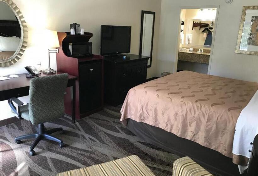 غرفة قياسية سرير كينج لذوى الإحتياجات الخاصة, Quality Inn