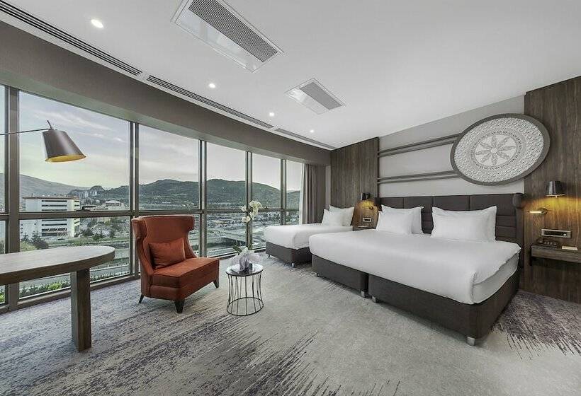 디럭스 룸, Dedeman Tokat