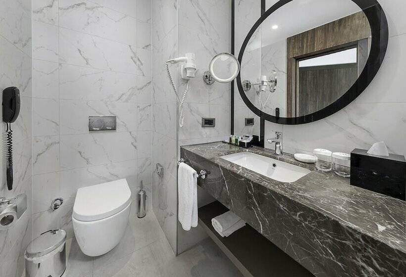 디럭스 룸, Dedeman Tokat