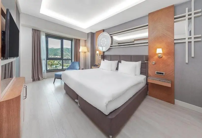 Sviitti, Dedeman Tokat