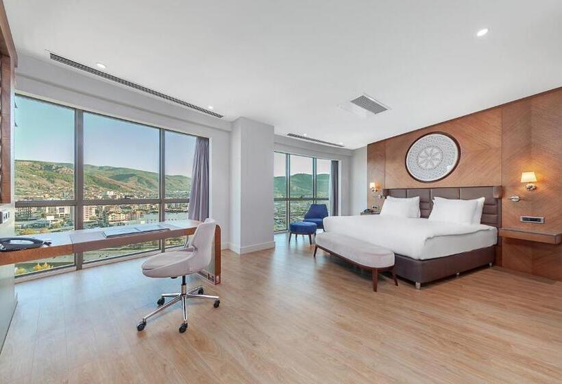 디럭스 스위트, Dedeman Tokat