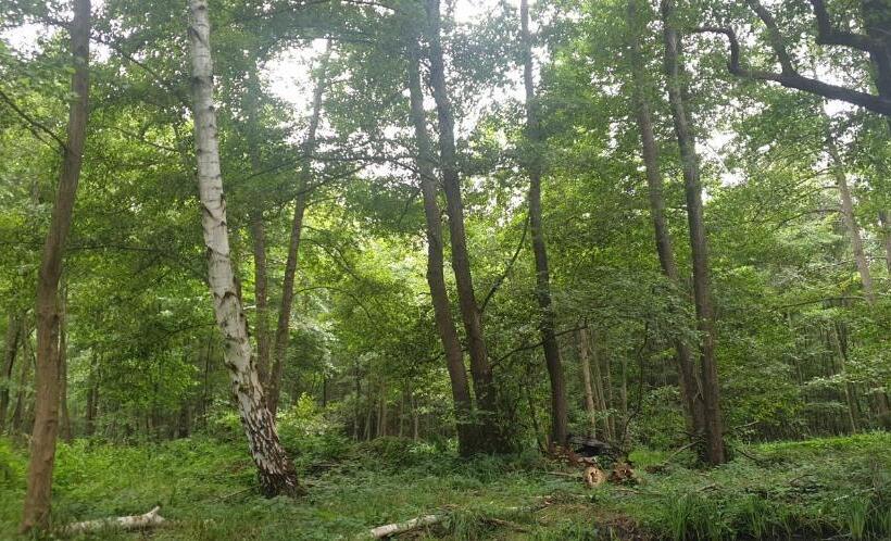 シティビューのデラックスルーム, Spree Hotel In Der Altstadt