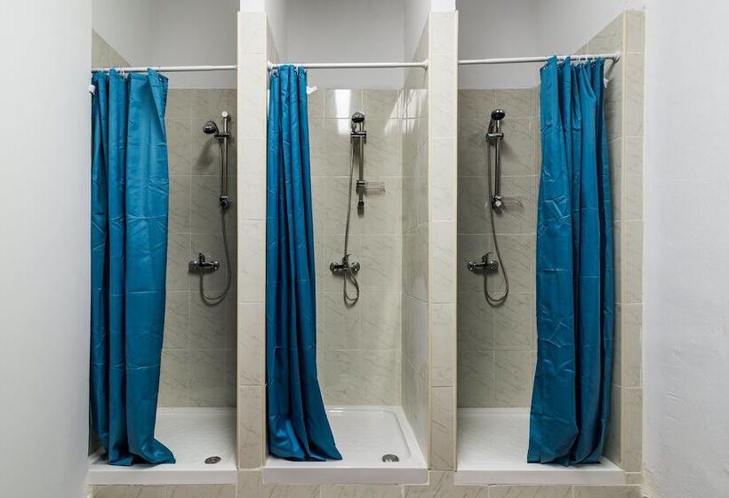Кровать в Общей Комнате, Suntrap Hostel