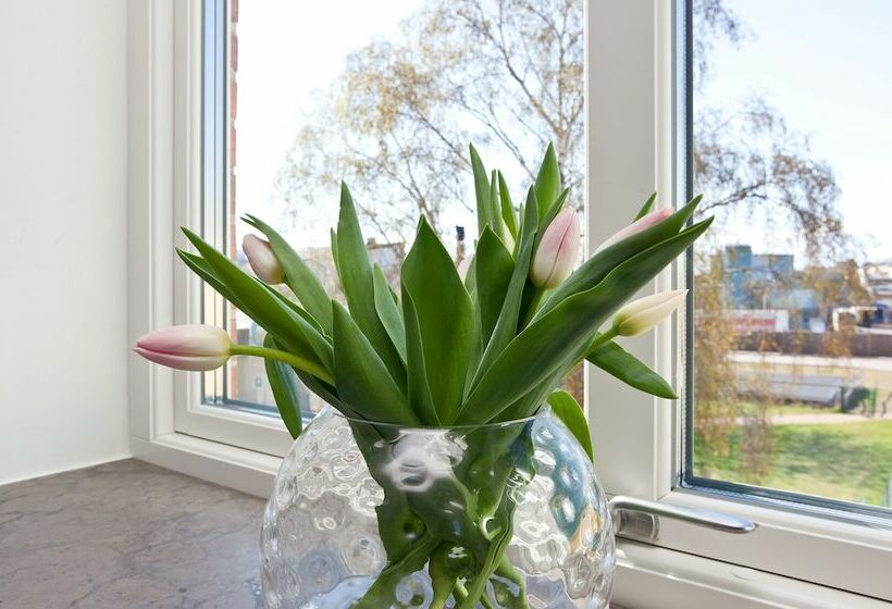 Camera Standard, Kalmar Hotell