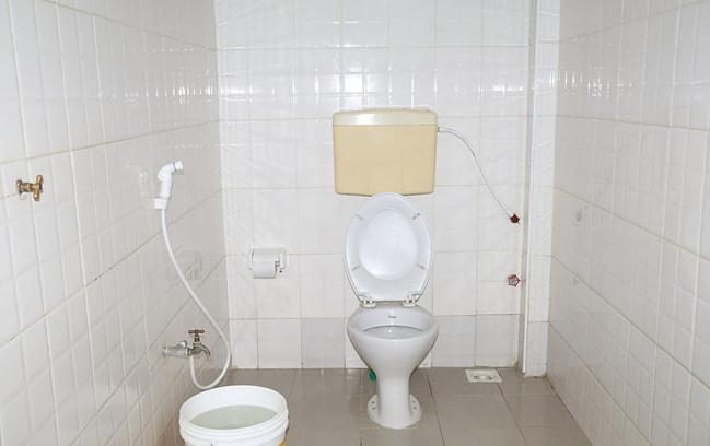 スタンダードルーム, Dolphin