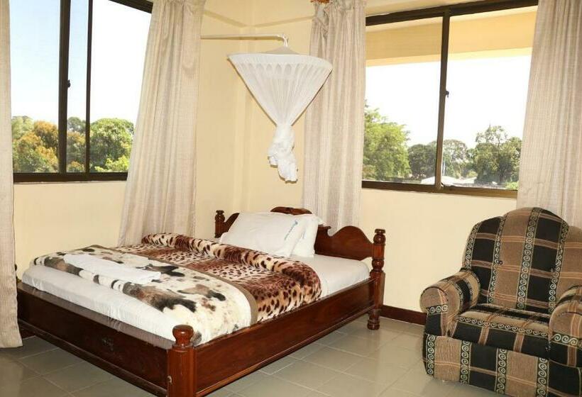 スタンダードルーム, Dolphin